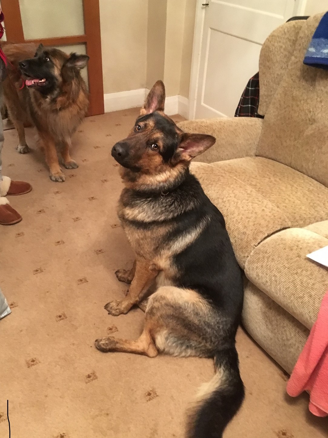 Sam - Lancashire